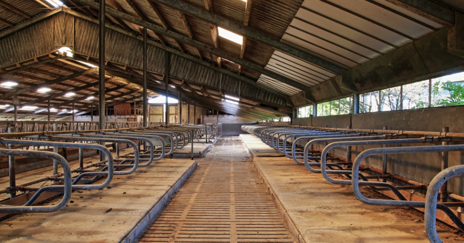 052919-01-Agriculture-Trade-Tariff