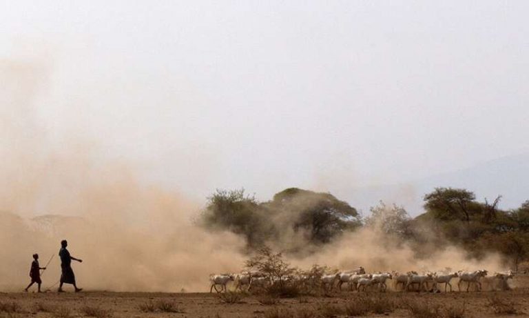 053019-10-History-Ancient-Africa-Animals-Pastoral