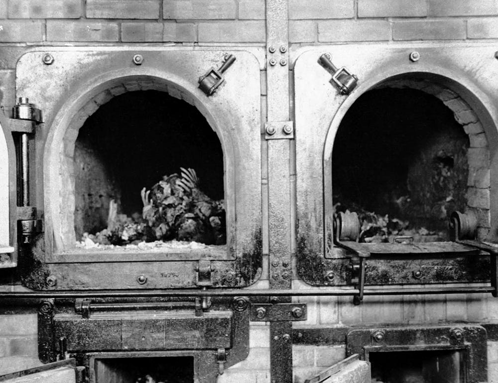 An Expert Witness against a Holocaust-Denying Teacher