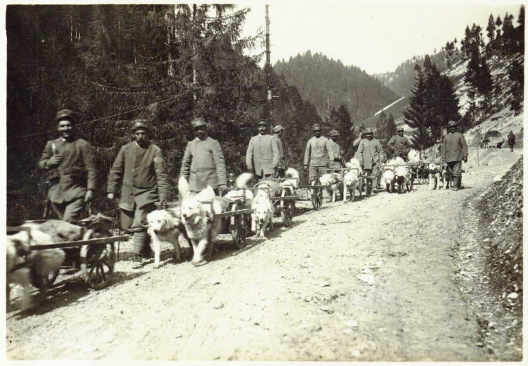 060319-25-History-World-War-One