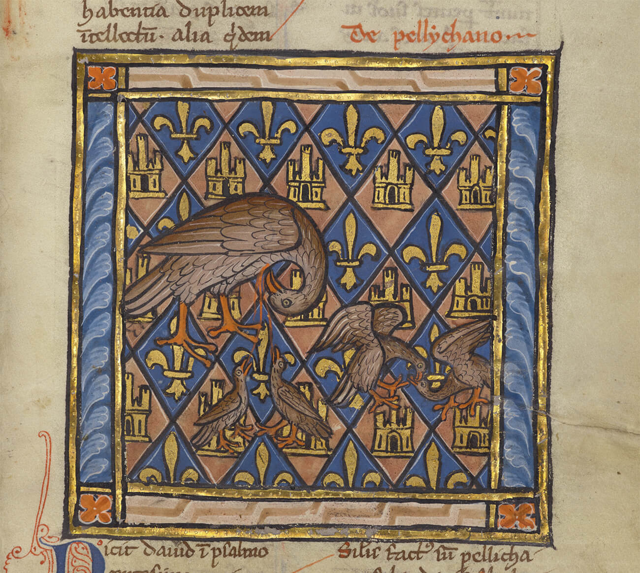 10 Surprising Facts about Books of Beasts from the European Middle Ages ...