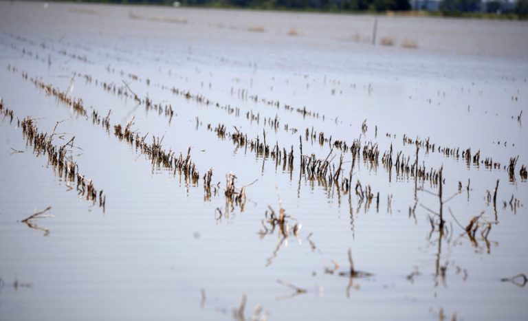 Flooding Mississippi