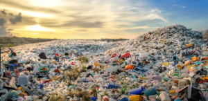 Mimicking Nature's Own Plastic 4 070919-24-Climate-Change-Environment