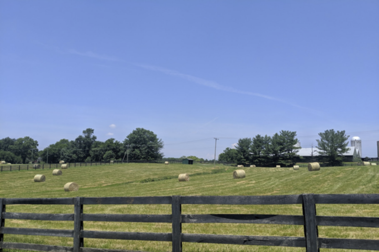 080119-15-Agriculture-African-American