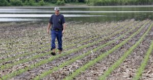 Government for the Rich, the Poor Be Damned 19 081519-07-Economy-Wealth