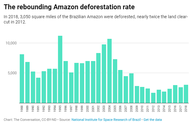 The Amazon Is Burning: 4 Essential Reads on Brazil's Vanishing Rainforest