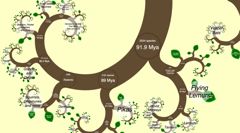 090319-11-Science-Biology-Evolution