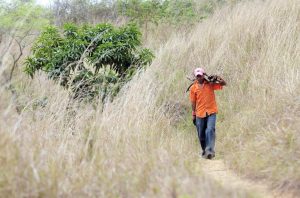 090619-01-Immigration-Central-America