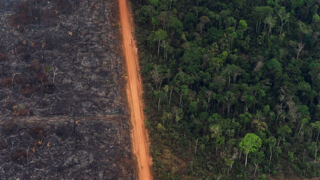 In Brazil's Rainforests, the Worst Fires Are Still to Come 3 In Brazil's Rainforests, the Worst Fires Are Still to Come