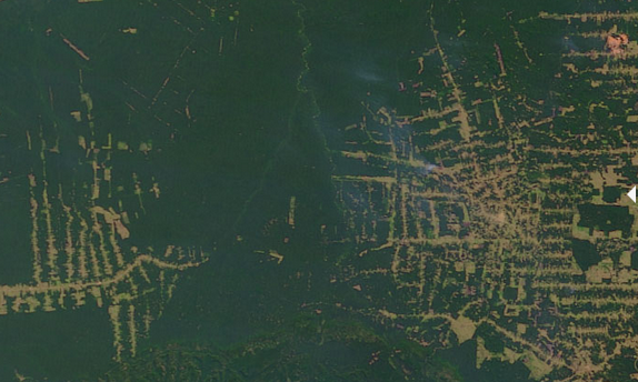 In Brazil's Rainforests, the Worst Fires Are Still to Come 7 In Brazil's Rainforests, the Worst Fires Are Still to Come