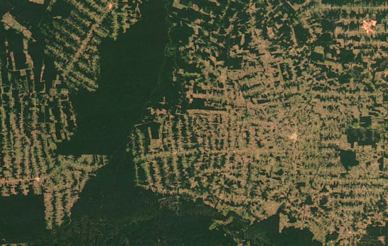 In Brazil's Rainforests, the Worst Fires Are Still to Come 8 In Brazil's Rainforests, the Worst Fires Are Still to Come