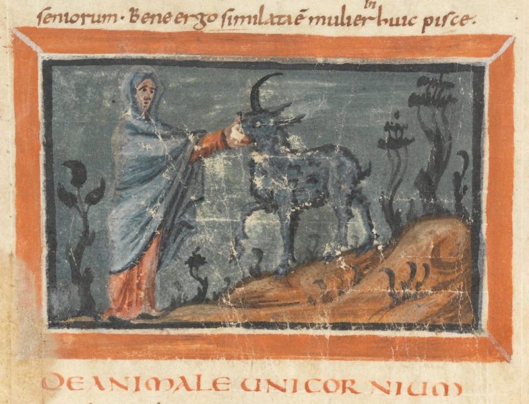 092019-12-History-Medicine-Pharmacy-Unicorn-Thomas-Bartholini