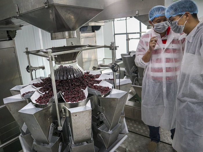 How the Trade War Crushed a Growing Chinese Market for U.S. Cranberries