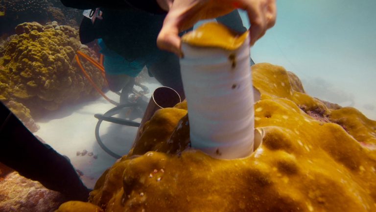 101219-01-History-Ancient-Prehistoric-Climate-Environment-Paleoclimatology