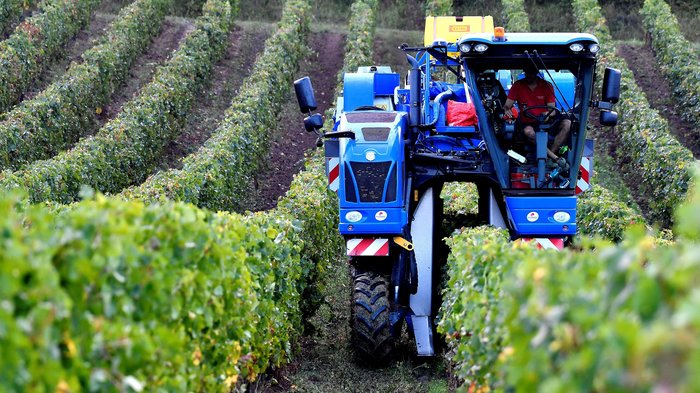 110519-10-France-Wine-Climate-Change