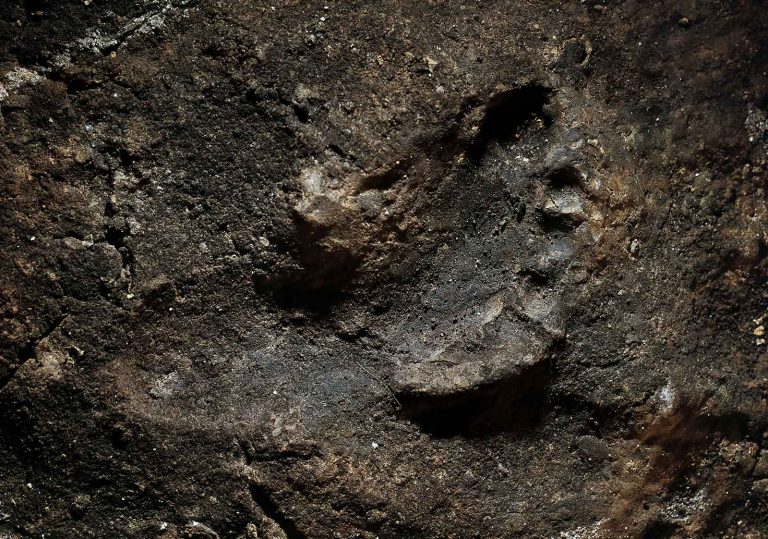 111019-09-History-Prehistoric-Evolution-Neanderthal