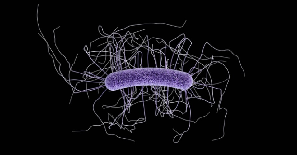 111419-09-Health-Care-Antibiotic