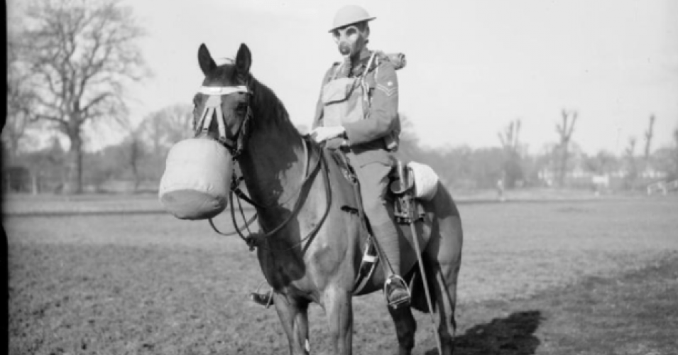 Humanity Is Riding Delusion to Extinction 3 Humanity Is Riding Delusion to Extinction