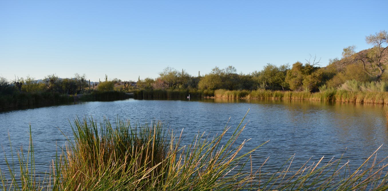 120519-05-Trump-Border-Arizona-Immigration