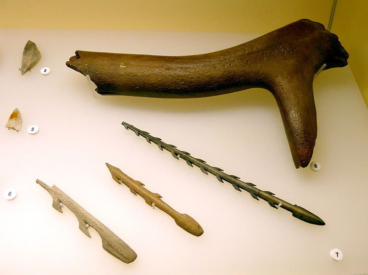 Later Stone Age Tools