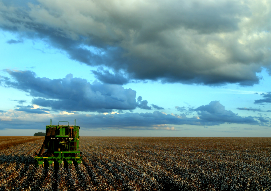 Subsidies Can't Solve Farmers' Trade War Losses 1 122219-08-Farming-Agriculture-Trade-Economy