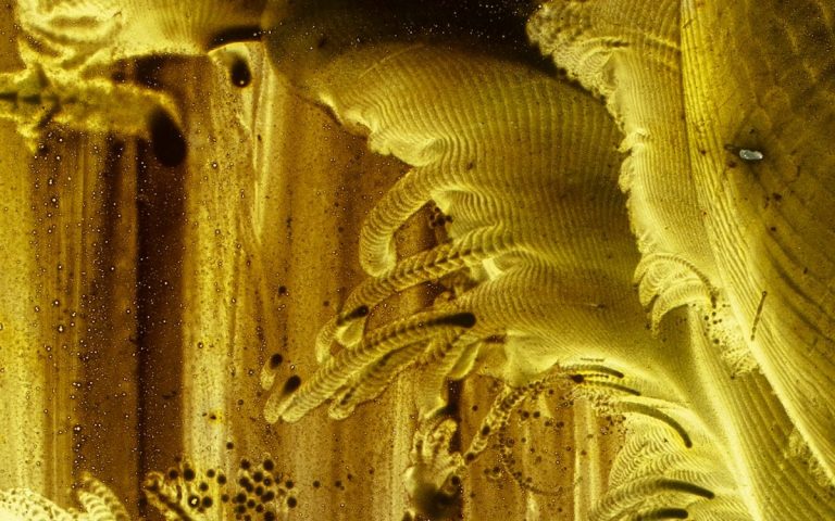 122919-57-Margaret-Watts-Hughes-Art-Music-Eidophone