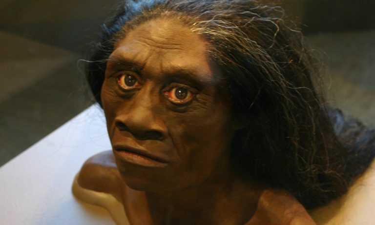 020820-17-History-Prehistoric-Floresiensis-Ebu-Gogo-Evolution