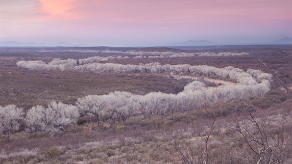 Cross-Border Ecosystems Suffer at U.S.-Mexico Border