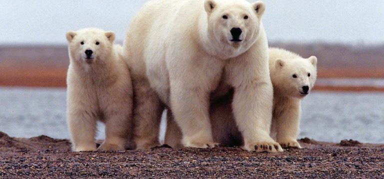 022820-21-Climate-Change