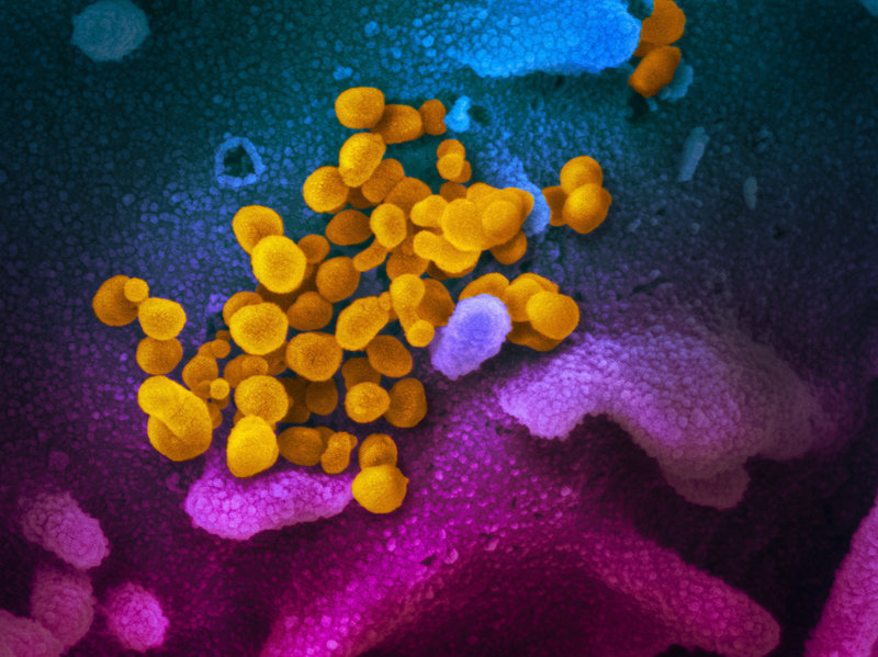 030320-06-Health-Medicine-Coronavirus