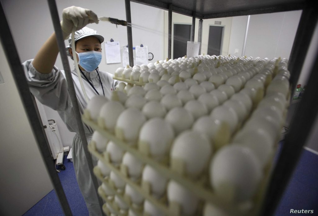 Coronavirus Vaccine Faces Bumpy Road from Lab to Jab 6 Coronavirus Vaccine Faces Bumpy Road from Lab to Jab