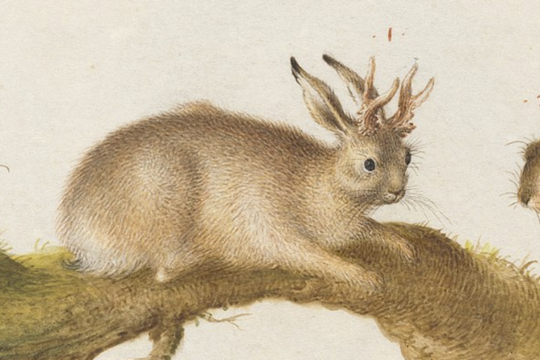 032320-01-Hoax-News-Media