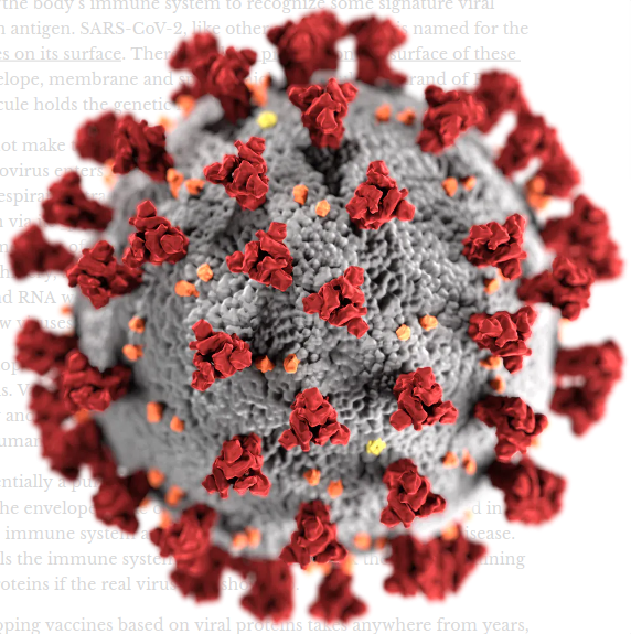 A New Type of Vaccine Using RNA Could Help Defeat COVID-19 6 A New Type of Vaccine Using RNA Could Help Defeat COVID-19