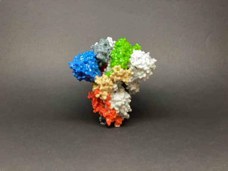 A New Type of Vaccine Using RNA Could Help Defeat COVID-19 8 A New Type of Vaccine Using RNA Could Help Defeat COVID-19