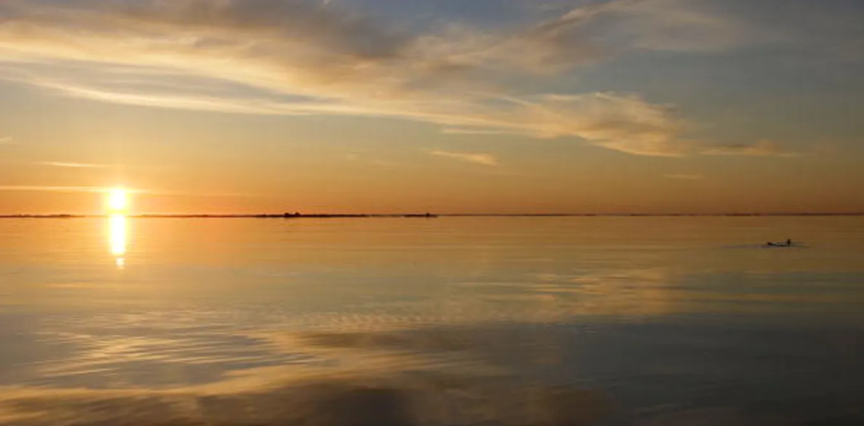 033020-01-Coronavirus