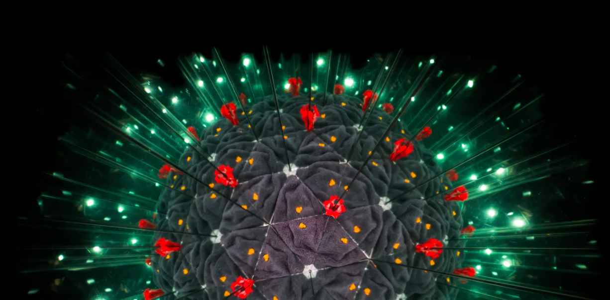 040620-10-Coronavirus