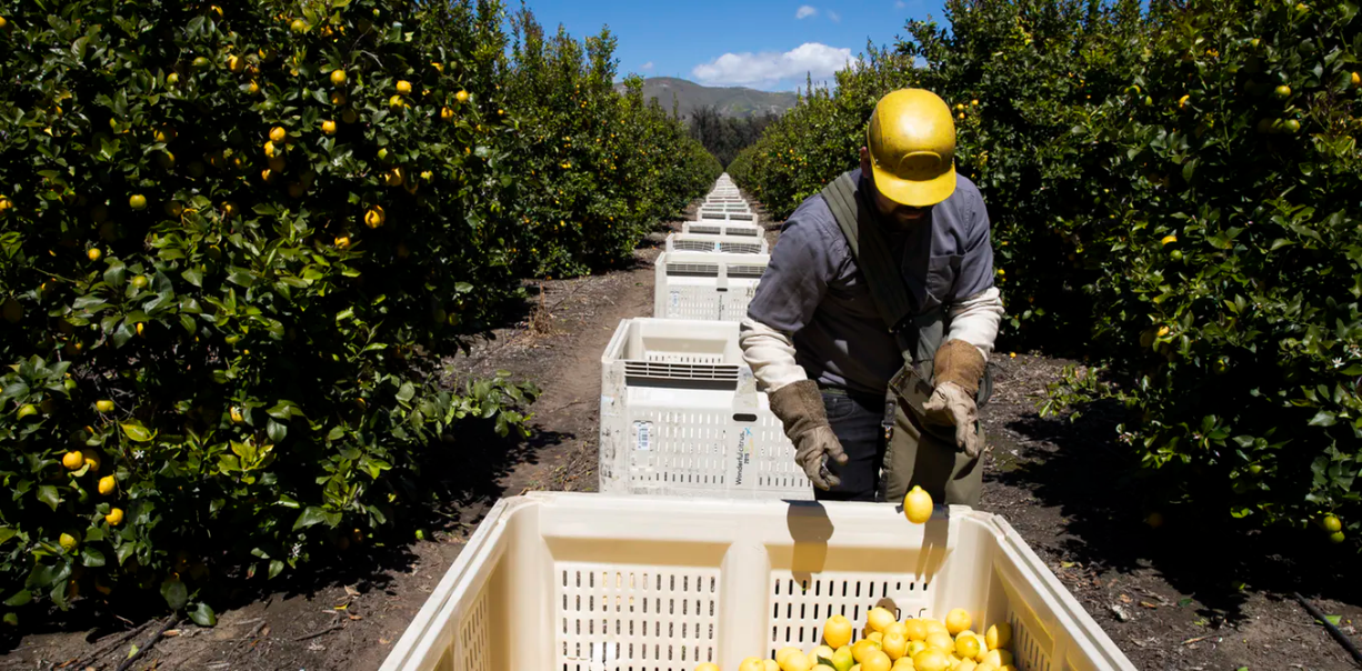 040720-07-Coronavirus-Agriculture
