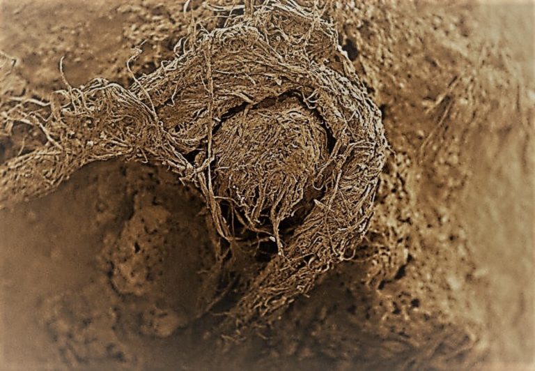 041120-03-Prehistoric-Neanderthal-Tools