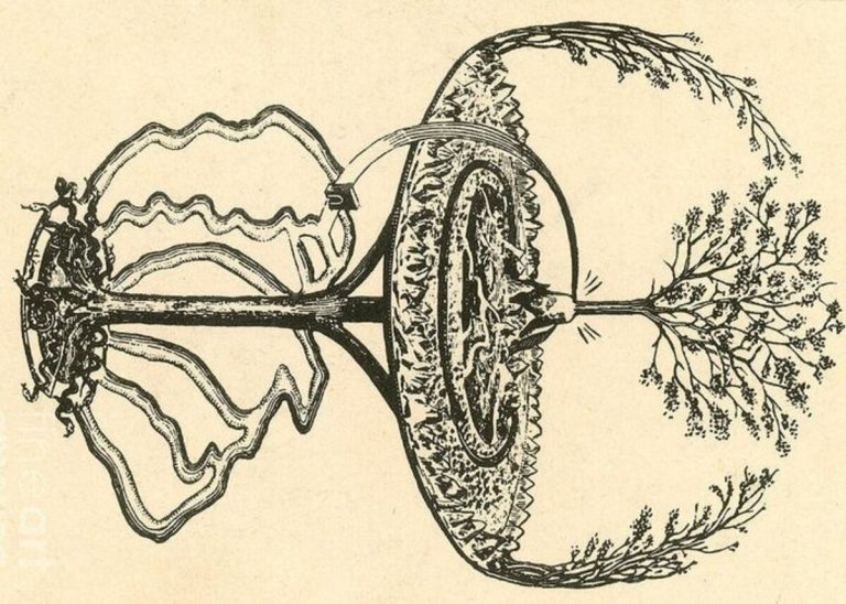 042820-37-History-Norse-Viking-Mythology-Yggdrasil