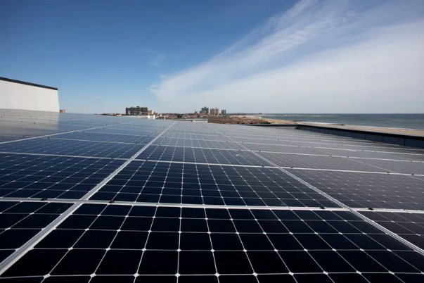 Lessons from COVID-19 for Entrepreneurial Approaches to Climate Change