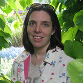 Antibodies in the Blood of COVID-19 Survivors Know How to Beat Coronavirus