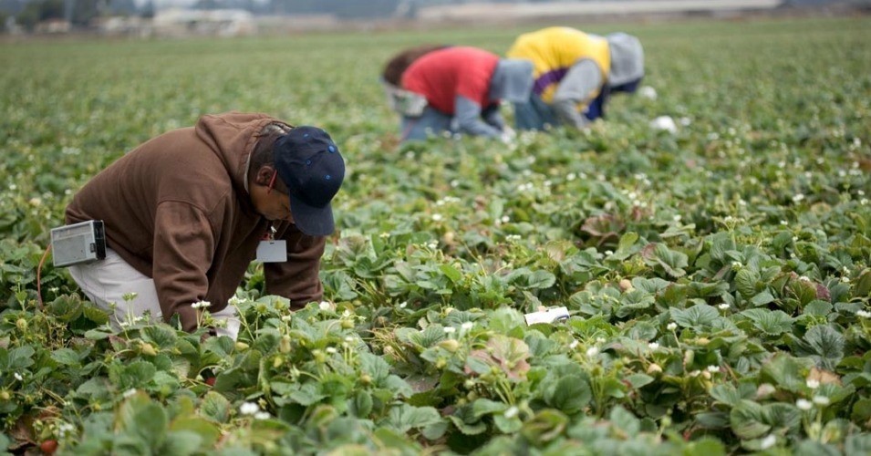 050420-06-Coronavirus-Agriculture-Farm