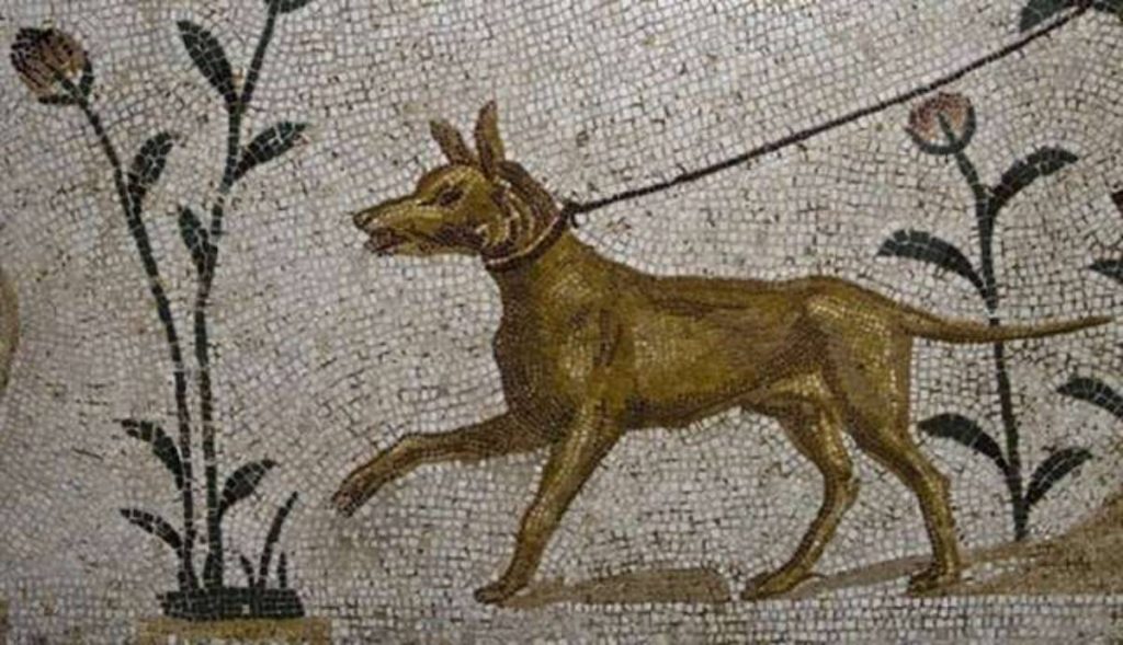 medieval dog art