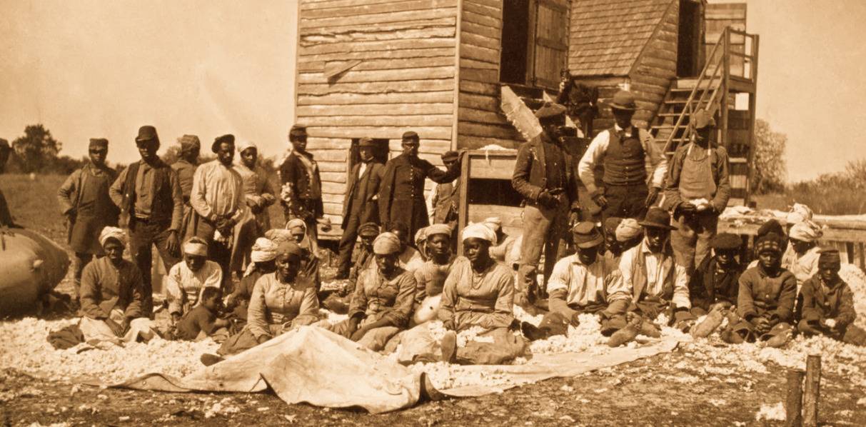 Black America and Land Loss since Emancipation Brewminate A Bold