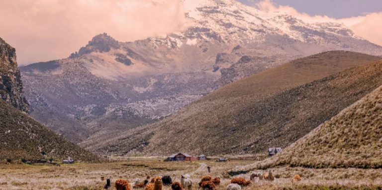 062220-19-History-Environment-Chimborazo