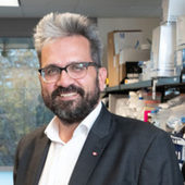 Coronavirus and Cancer Hijack the Same Parts in Human Cells to Spread