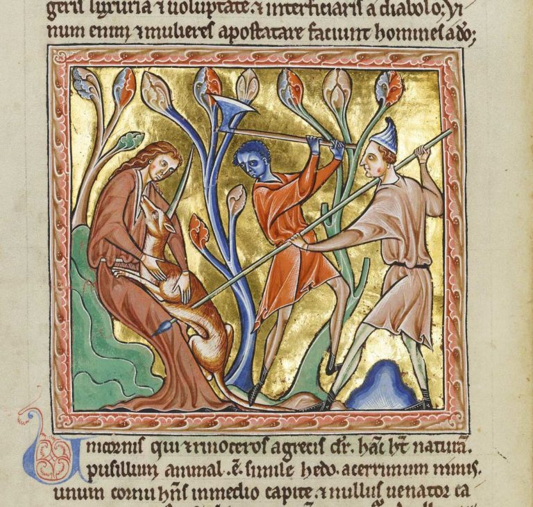 An Introduction to the Bestiary, a Book of Beasts in the Medieval World ...