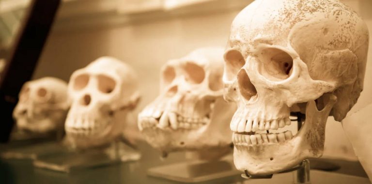 070520-10-History-Ancient-Evolution