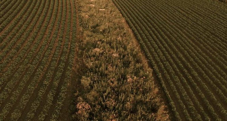 071420-09-Agriculture-Climate-Change