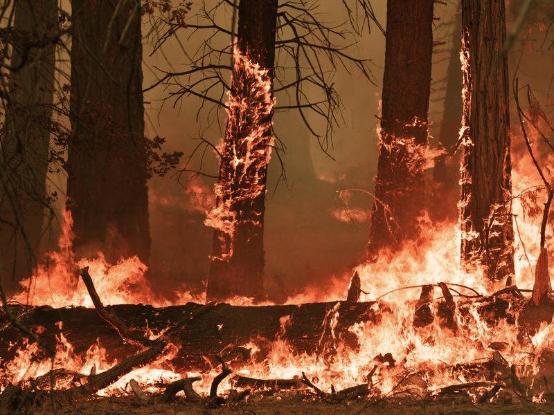 072720-02-Climate-Change